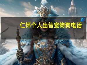 仁怀个人出售宠物狗电话