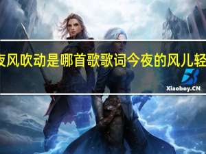今夜风吹动是哪首歌歌词 今夜的风儿轻是什么歌