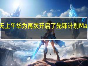 今天上午华为再次开启了先锋计划Mate60Pro+和MateX5双双开售