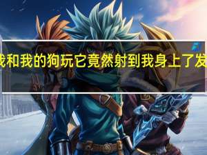 今天我和我的狗玩它竟然射到我身上了发生了什么事？