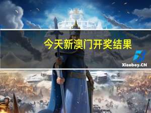 今天新澳门开奖结果，技术精选答案落实_辅助版0.8