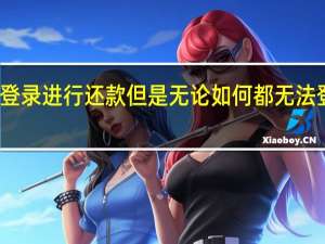 今天是还款日我想登录进行还款但是无论如何都无法登录我想知道这是为什么