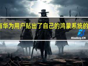 今天有华为用户贴出了自己的鸿蒙系统的一个小功能