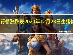 今天猪价行情涨跌表 2021年12月28日生猪价格走势怎么样