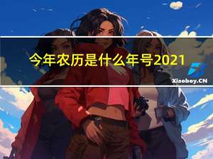 今年农历是什么年号2021（今年农历是什么年号）