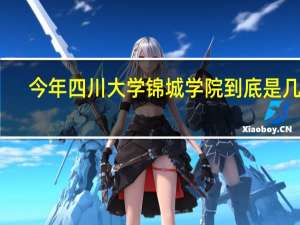 今年四川大学锦城学院到底是几本