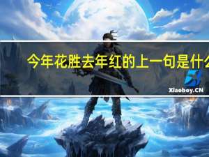 今年花胜去年红的上一句是什么