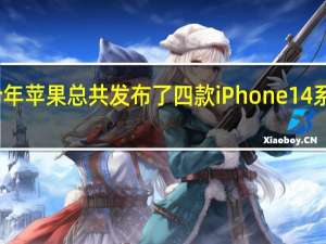 今年苹果总共发布了四款iPhone14系列手机