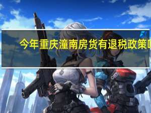今年重庆潼南房货有退税政策吗