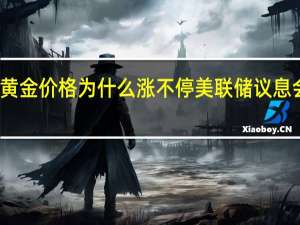 今年黄金价格为什么涨不停 美联储议息会议成焦点