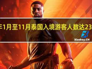 今年1月至11月泰国入境游客人数达2320万人次