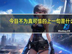 今日不为真可惜的上一句是什么