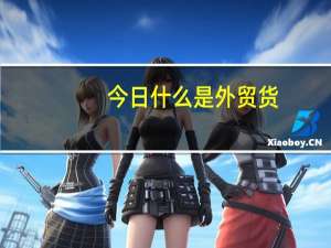 今日什么是外贸货（什么是外贸）