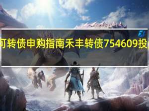 今日可转债申购指南 禾丰转债754609投资价值如何