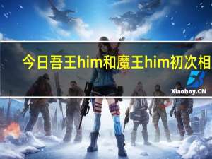 今日吾王him和魔王him初次相遇（吾王）