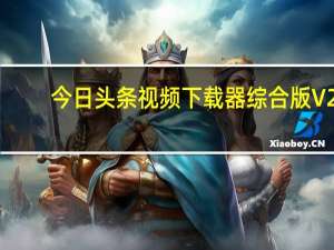 今日头条视频下载器综合版 V2.0 绿色免费版（今日头条视频下载器综合版 V2.0 绿色免费版功能简介）