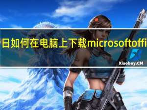 今日如何在电脑上下载microsoft office2010（怎么为电脑下载 Microsoft Office Excel 文档）