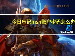 今日忘记msn账户密码怎么办（msn忘记密码）