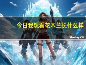 今日我想看花木兰长什么样（有看过＜花木兰＞的吗好看吗）