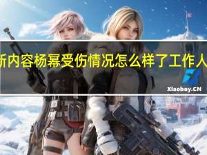 今日最新更新内容 杨幂受伤情况怎么样了工作人员回应正在恢复中