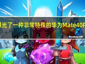 今日有网友曝光了一种非常特殊的华为Mate40Pro防爆定制版机型