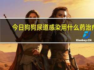 今日狗狗尿道感染用什么药治疗（尿道感染要吃什么药才能快速治好）
