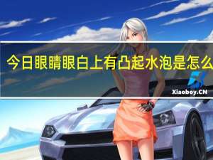今日眼睛眼白上有凸起水泡是怎么回事（眼睛眼白上有凸起水泡）