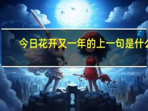 今日花开又一年的上一句是什么