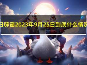 今日辟谣 2023年9月25日 到底什么情况嘞