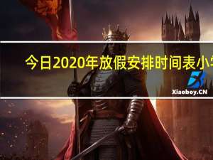 今日2020年放假安排时间表小学（2020年放假安排时间表）