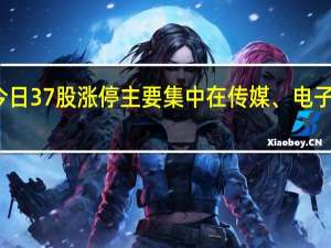 今日37股涨停 主要集中在传媒、电子等行业