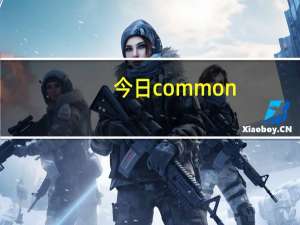 今日common（files是什么文件）