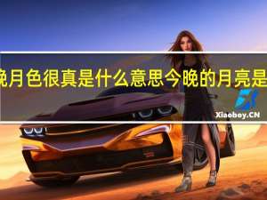 今晚月色很真是什么意思 今晚的月亮是怎么回事