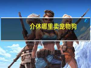 介休哪里卖宠物狗