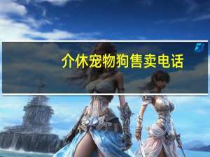 介休宠物狗售卖电话