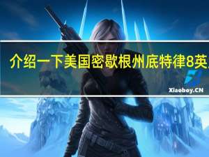 介绍一下美国密歇根州底特律8英里街。8英里街附近有哪些大学，底特律有哪些大学，以及在全美的排名