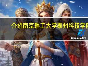 介绍南京理工大学泰州科技学院