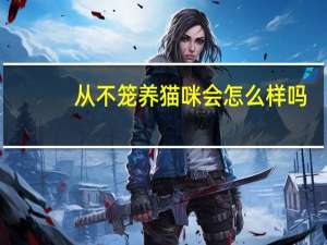 从不笼养猫咪会怎么样吗