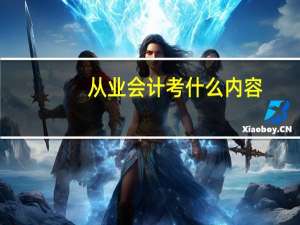 从业会计考什么内容