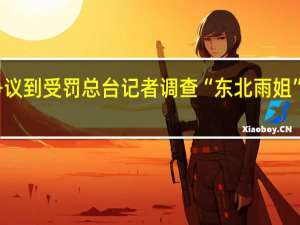 从争议到受罚 总台记者调查“东北雨姐”事件始末