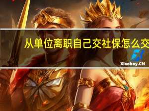 从单位离职自己交社保怎么交