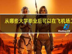 从哪些大学毕业后可以在飞机场工作