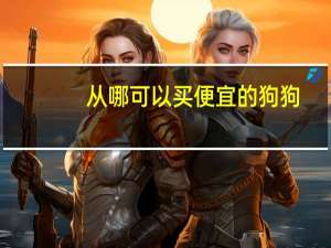 从哪可以买便宜的狗狗