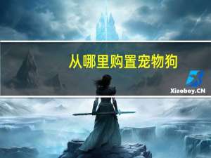 从哪里购置宠物狗