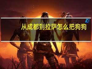 从成都到拉萨怎么把狗狗