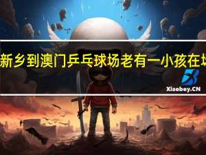 从新乡到澳门乒乓球场老有一小孩在场咋回事