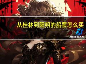 从桂林到阳朔的船票怎么买