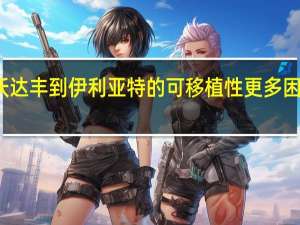 从沃达丰到伊利亚特的可移植性更多困惑和延迟