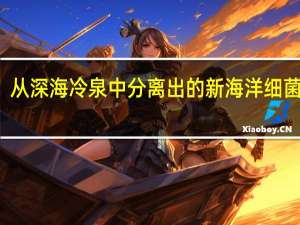 从深海冷泉中分离出的新海洋细菌物种