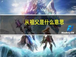 从祖父是什么意思